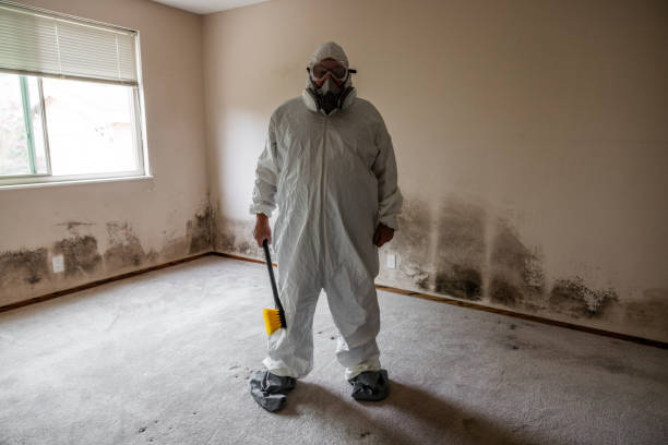 Best Residential Mold Remediation in Pine Bluff, AR